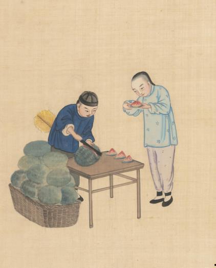 林中故事吃瓜,揭秘神秘吃瓜传说