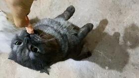 躺着吃瓜图,揭秘现代人的休闲新风尚