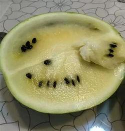 烂瓜咋吃,创意烹饪攻略