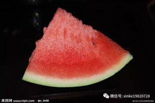 楚见偷瓜吃,一场夏夜乡村的欢乐盛宴