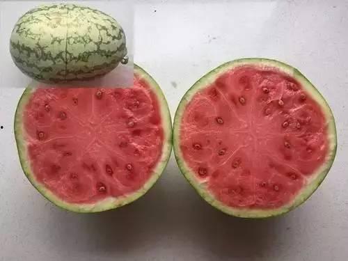 吃瓜能带瓜瓤吃吗,吃瓜也能带瓤的奇妙体验