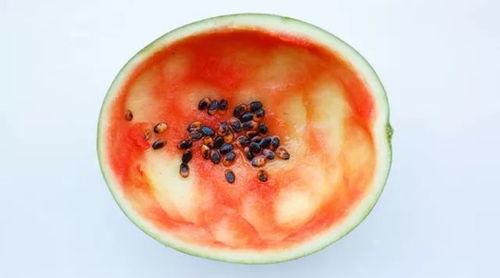 吃瓜用勺子吃瓜,趣味横生的夏日消暑新风尚