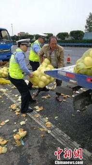 刘强吃瓜,揭秘娱乐圈幕后真相