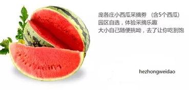 吃瓜中心的作品