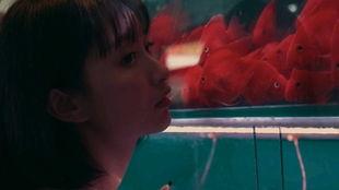 水底吃瓜的女孩,揭秘神秘女孩的神秘世界