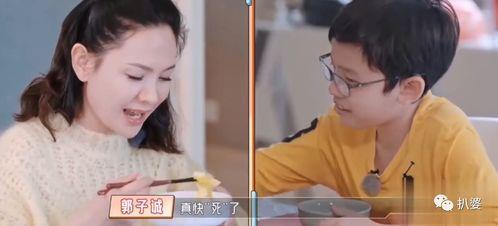 搬料吃瓜贤妻,揭秘家庭和谐背后的智慧与担当