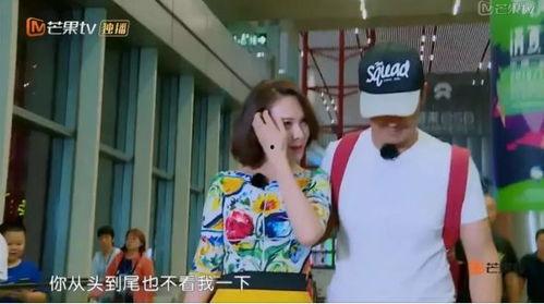 吃瓜情报剧,揭秘娱乐圈背后的秘密与真相