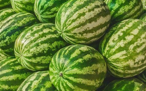 福州一中 吃瓜,揭秘校园“吃瓜”文化背后的故事