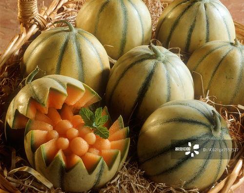 fruit吃瓜群号码,探索fruit吃瓜群号码背后的欢乐时光