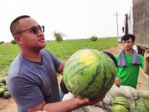 观望吃瓜的图片,图解“吃瓜群众”的围观心态