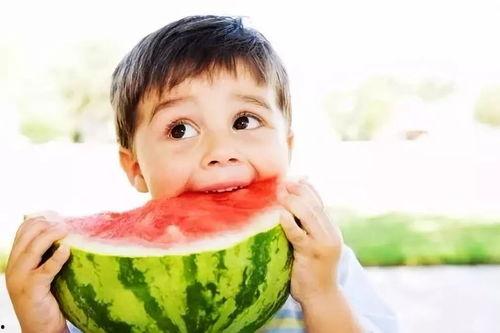 吃瓜专用小号4444,网络舆论场中的神秘力量