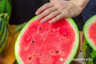 最高学府吃瓜,揭秘校园里的那些“吃瓜”往事