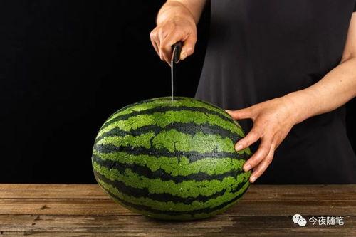 开大之后吃瓜,品味瓜界盛宴