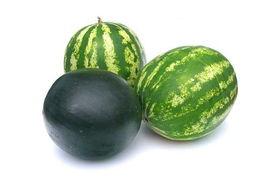 临安吃瓜事件视频