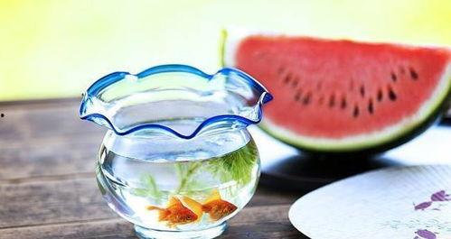 料理吃瓜,料理吃瓜，美味与清凉的完美邂逅