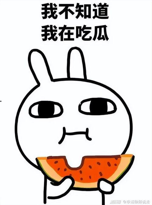 憨瓜吃鸡系列大全,欢乐逗趣的生存之旅