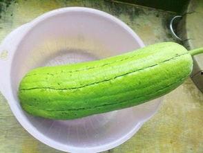 水瓜烂掉可以吃吗,还能食用吗？揭秘食品安全之谜