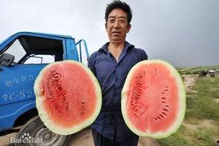 中国吃瓜网友,中国吃瓜网友的狂欢盛宴