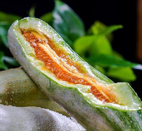 梦见别人分田瓜吃,共赏分田瓜果的和谐寓言