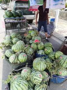 南宁兴安吃瓜事件视频