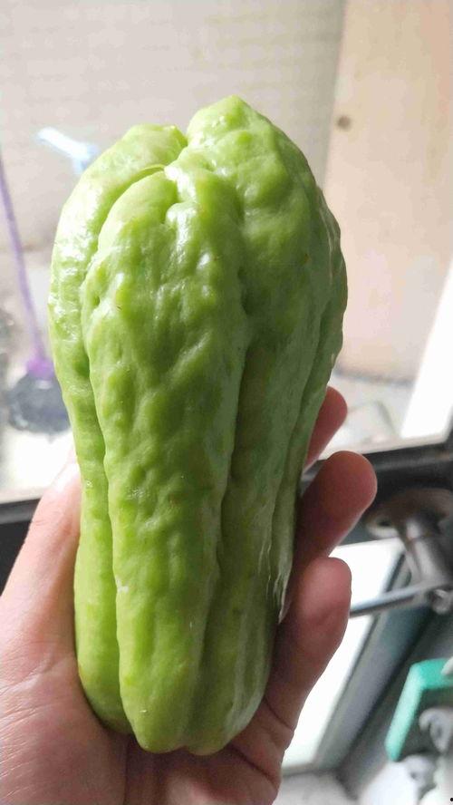 最近吃的瓜是哪个瓜