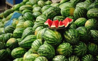 至臻吃瓜2,揭秘娱乐圈幕后风云