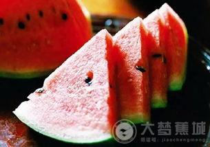 政府吃瓜,揭秘政务公开背后的趣味与挑战