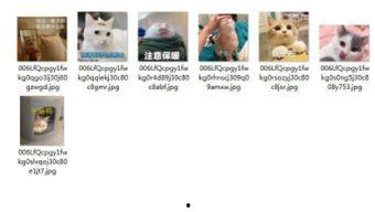 明星吃瓜文档图片