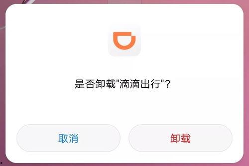 吃瓜滴滴文