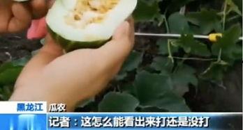 吃瓜徐谨慎,揭秘娱乐圈背后的真相与内幕