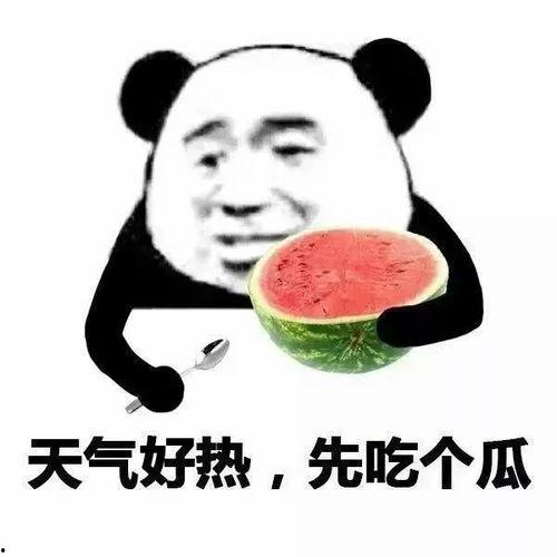 热门VIP吃瓜群