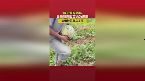 梦到给孩子吃田瓜,田瓜食育的温馨启示