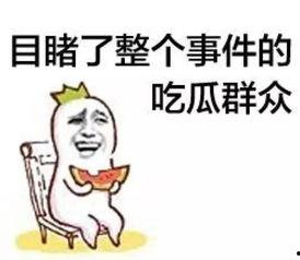 吃瓜群众看球视频,吃瓜群众视角下的激情足球盛宴