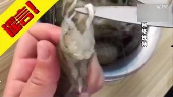 寄生虫吃瓜,瓜果的隐秘威胁